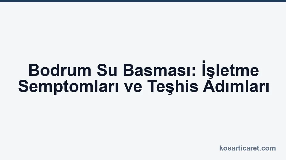 Bodrum su basması işletme teşhisi