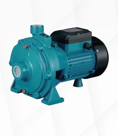 Kaysu Pompa 2HCP-160 çift fanlı santrifüj pompa ürün görseli