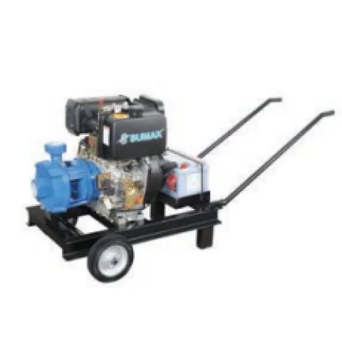 Sumak DSMT750/3 su pompası ürün görseli