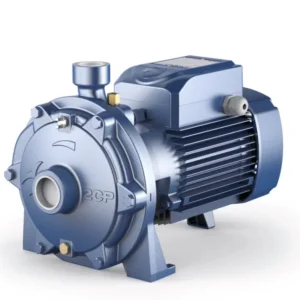 Pedrollo 2CP 40 / 180C Çift Fanlı Santrifüj Pompa - Görsel 1