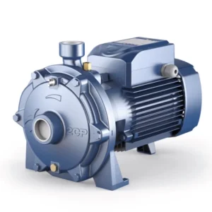 Pedrollo 2CP 40 / 200A Çift Fanlı Santrifüj Pompa - Görsel 1