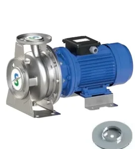 Sumak SMINOX160/65 Komple Paslanmaz Çelik Santrifüj Pompa - Görsel 1