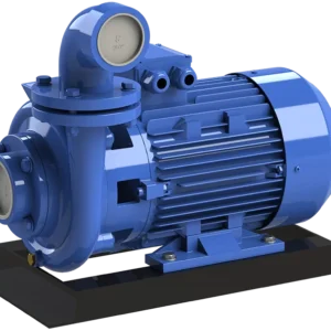 Sumak SMT750/3 (Trifaze) Santrifüj Pompa - Görsel 1